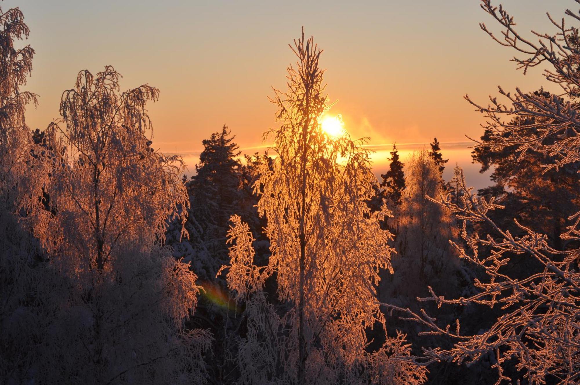 Vaihmalan Hovi 호텔 Lempäälä 외부 사진